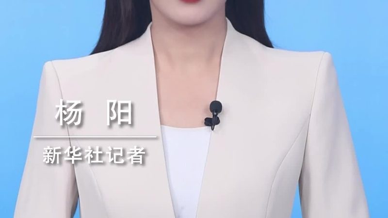 微服务治理：服务网格的实践之道**